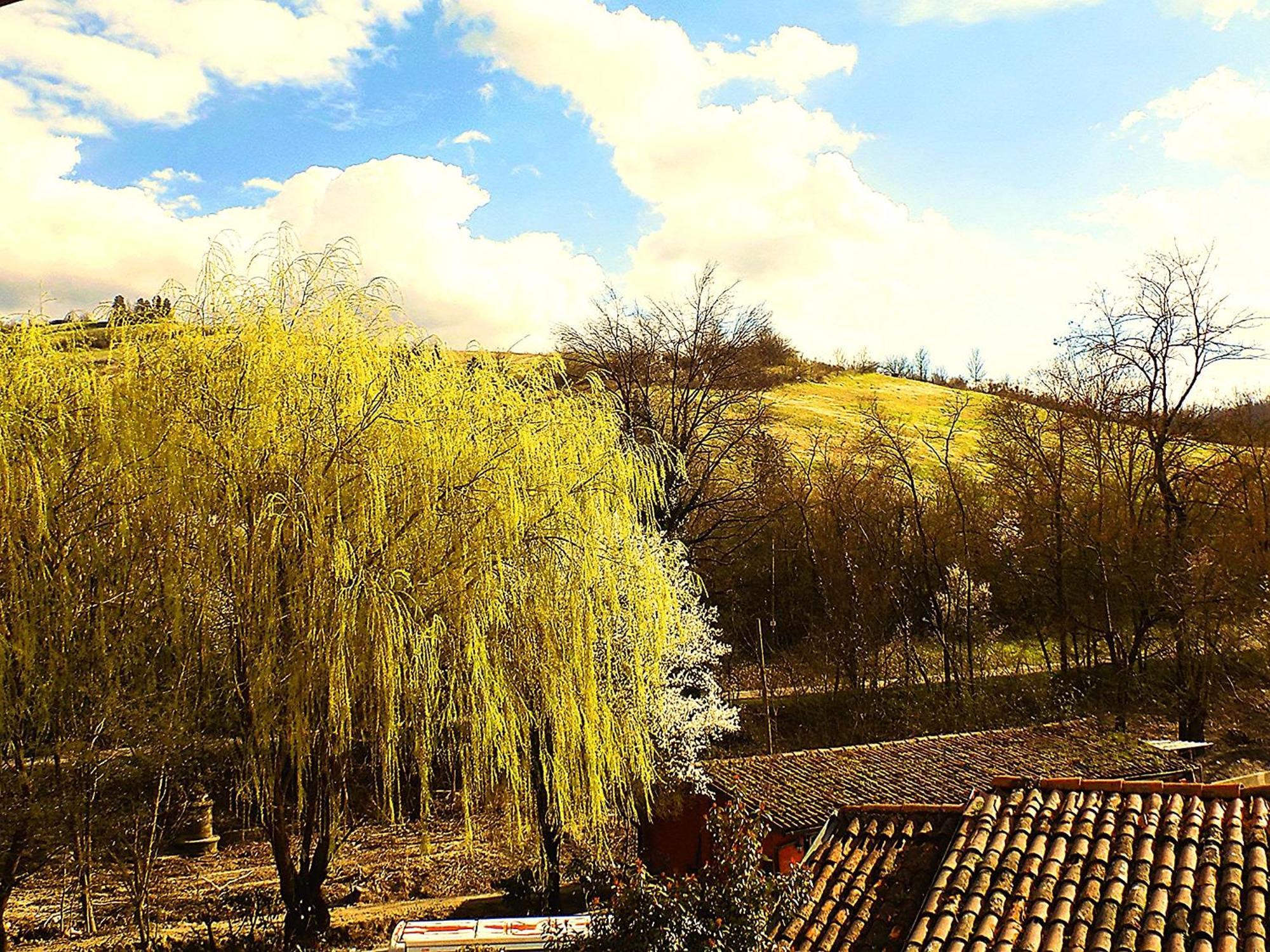 Relais Ca Del Rio Villa Botteghino di Zocca Kültér fotó
